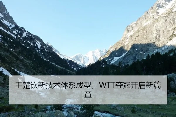 王楚钦新技术体系成型，WTT夺冠开启新篇章