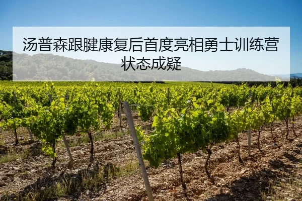 汤普森跟腱康复后首度亮相勇士训练营状态成疑